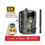Camara de Caça 4G -. Vídeo em direto