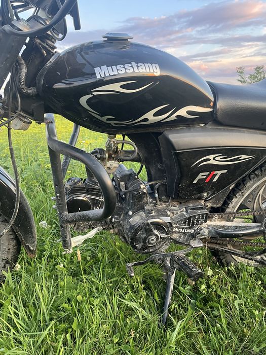 Mustang fit 1 125, Альфа