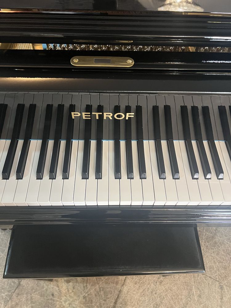 Piano cauda 1/4 cauda petrof modelo vi esta impecavel