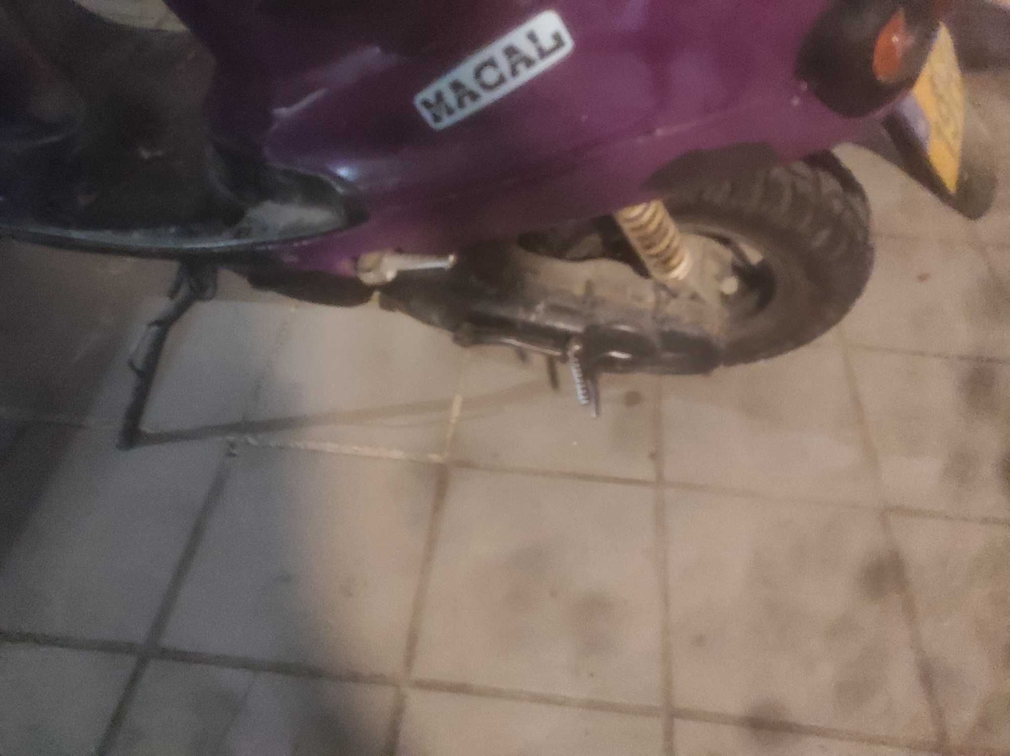 Macal thunder para venda