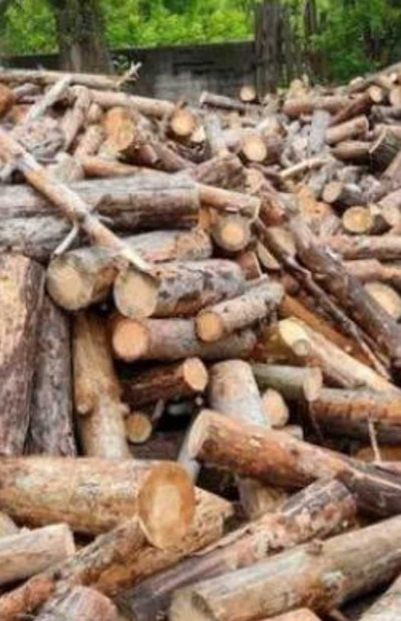 Продаж дров твердих та м'яких порід