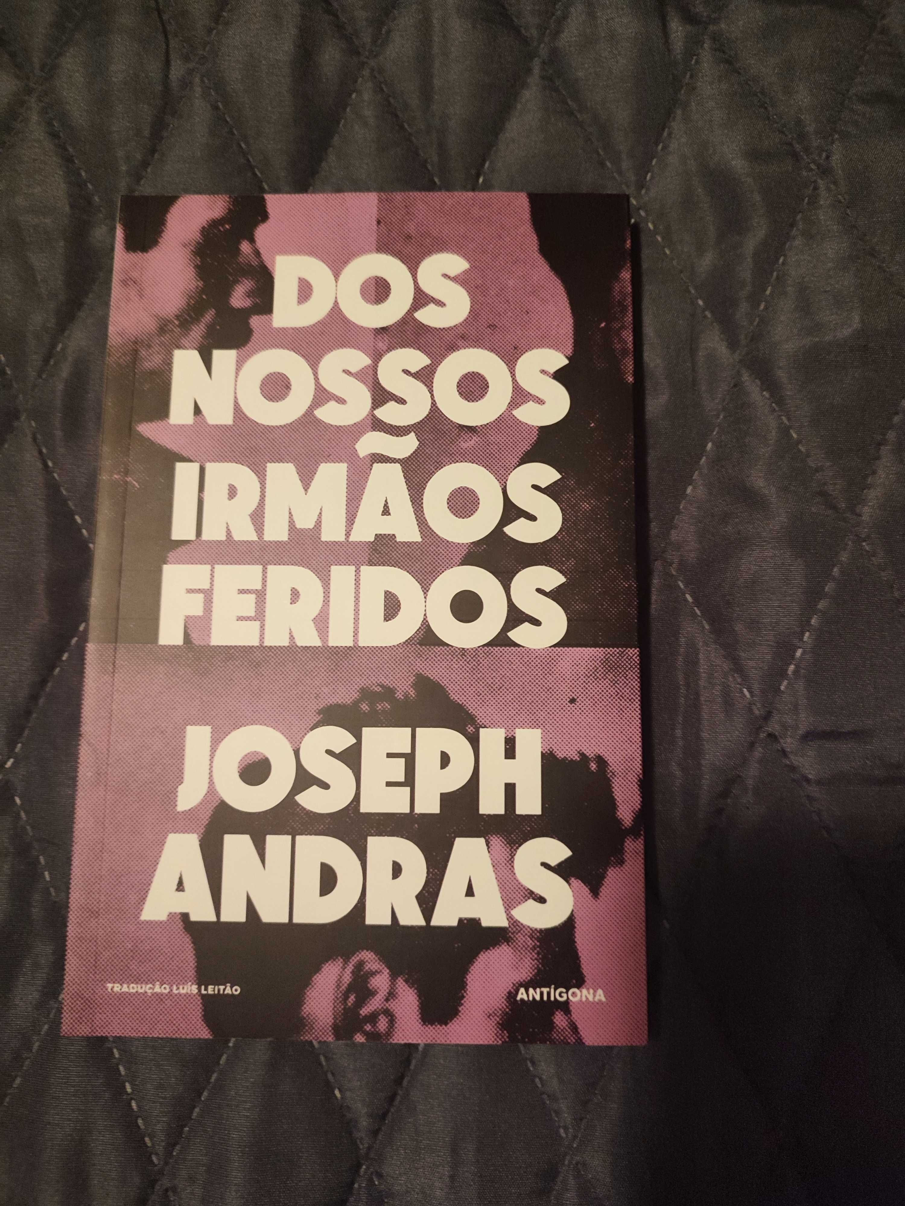 Livro "Dos Nossos Irmãos Feridos" Antigona