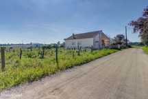 Terreno Único em Setúbal – Ideal para Produtores de Vinho e Agro turis