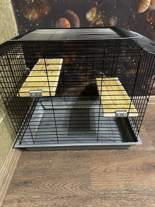 Клітка для тваринки