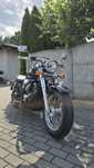 Honda shadow 750