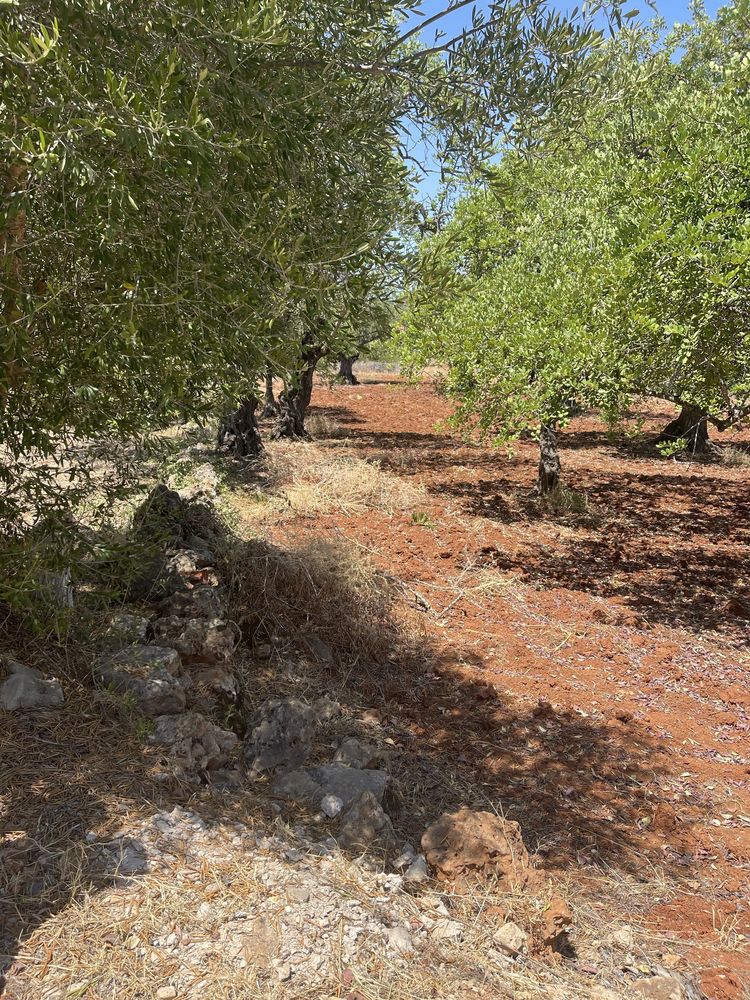 Terreno Rústico Com 815m2 perto do do colègio de Vilamoura