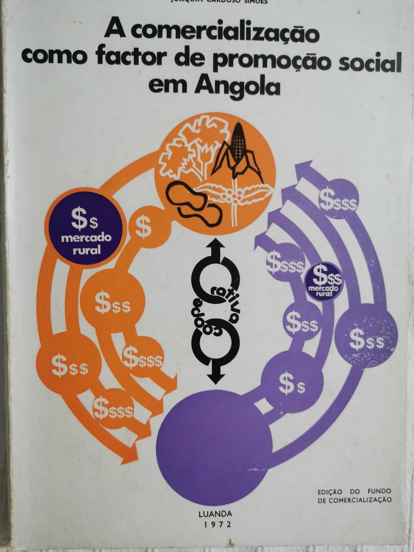 A Comercialização como Factor de Promoção Social em Angola