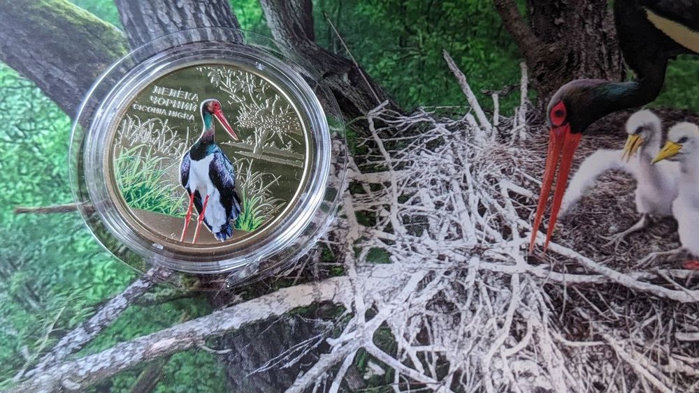 Сміливість бути ua, Кохання, Лелека, рік дракона НБУ