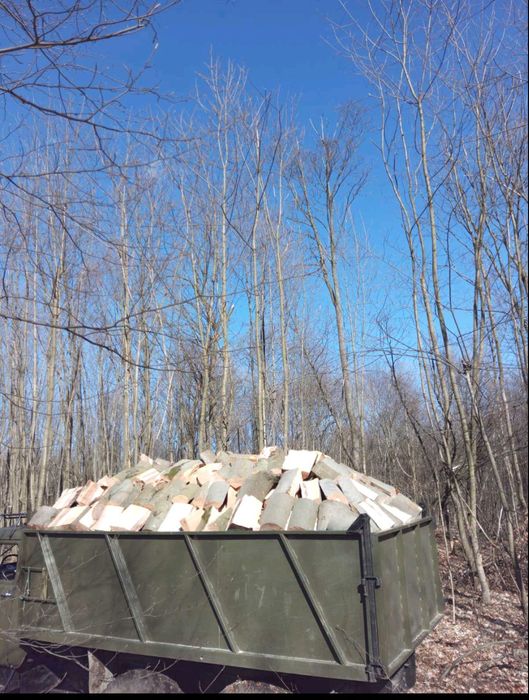 Продаю дрова твердих і м'яких порід