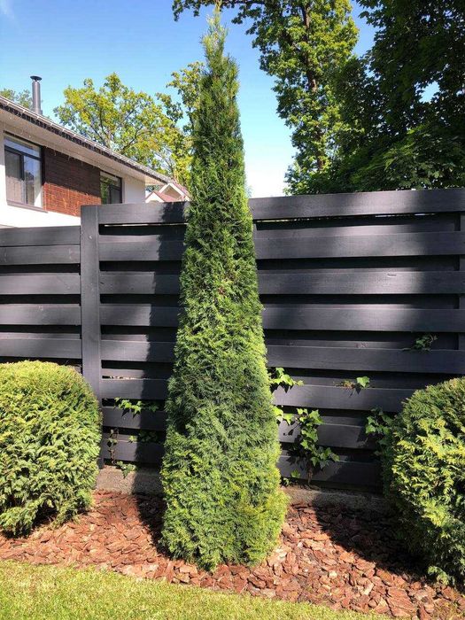 Садівник у місті Буча | Озеленення та догляд за садом