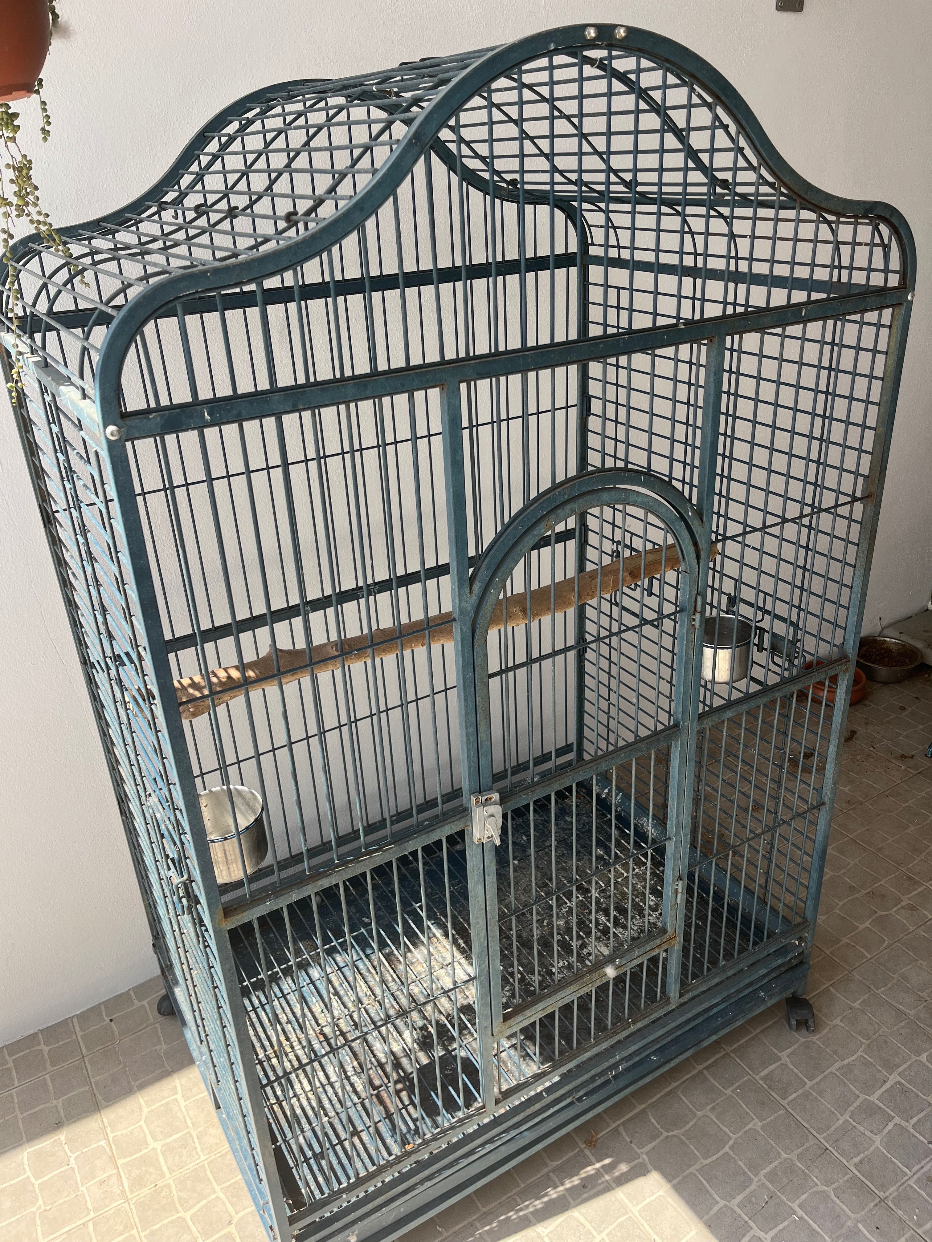 Vendo gaiola papagaio