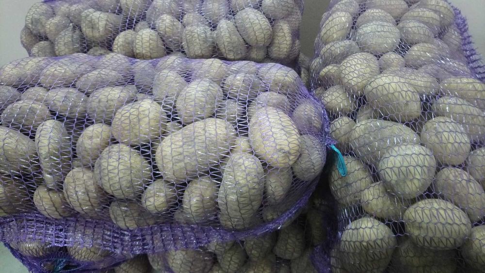 Продам домашні овочі.