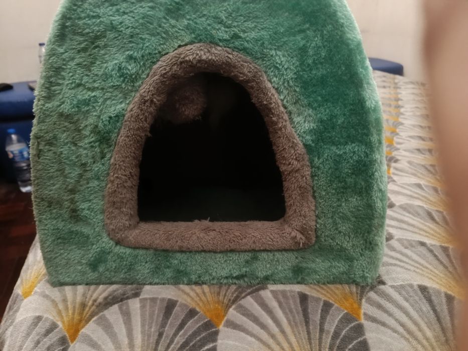 Cama para gatos como novo