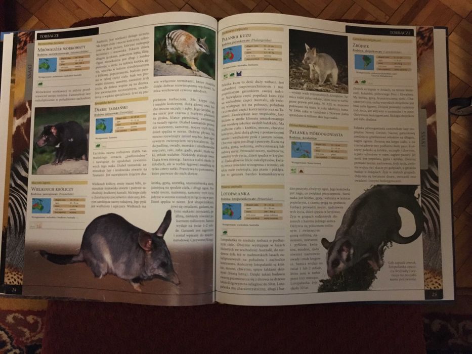 Wielka Encyklopedia Zwierząt - Ssaki tom 1