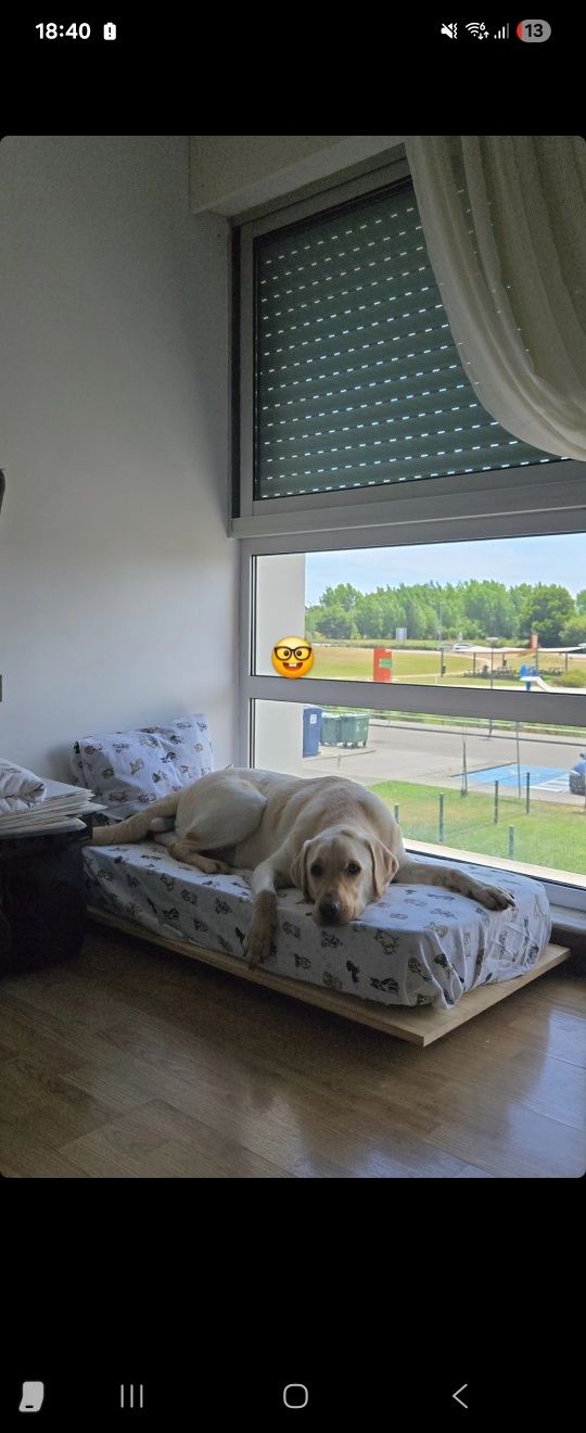Cama de cão artesanal