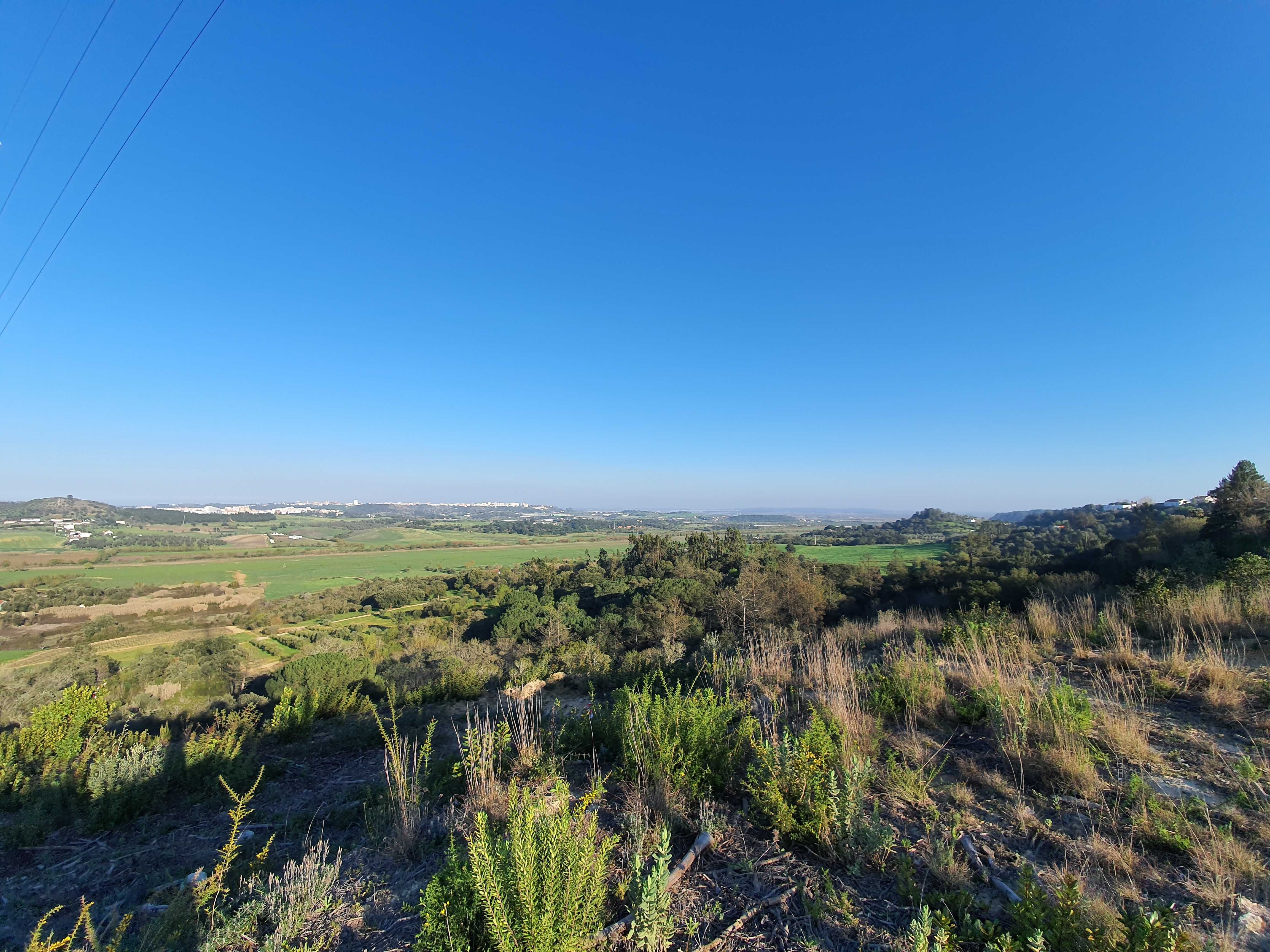 Terreno com 9 hectares Santarém