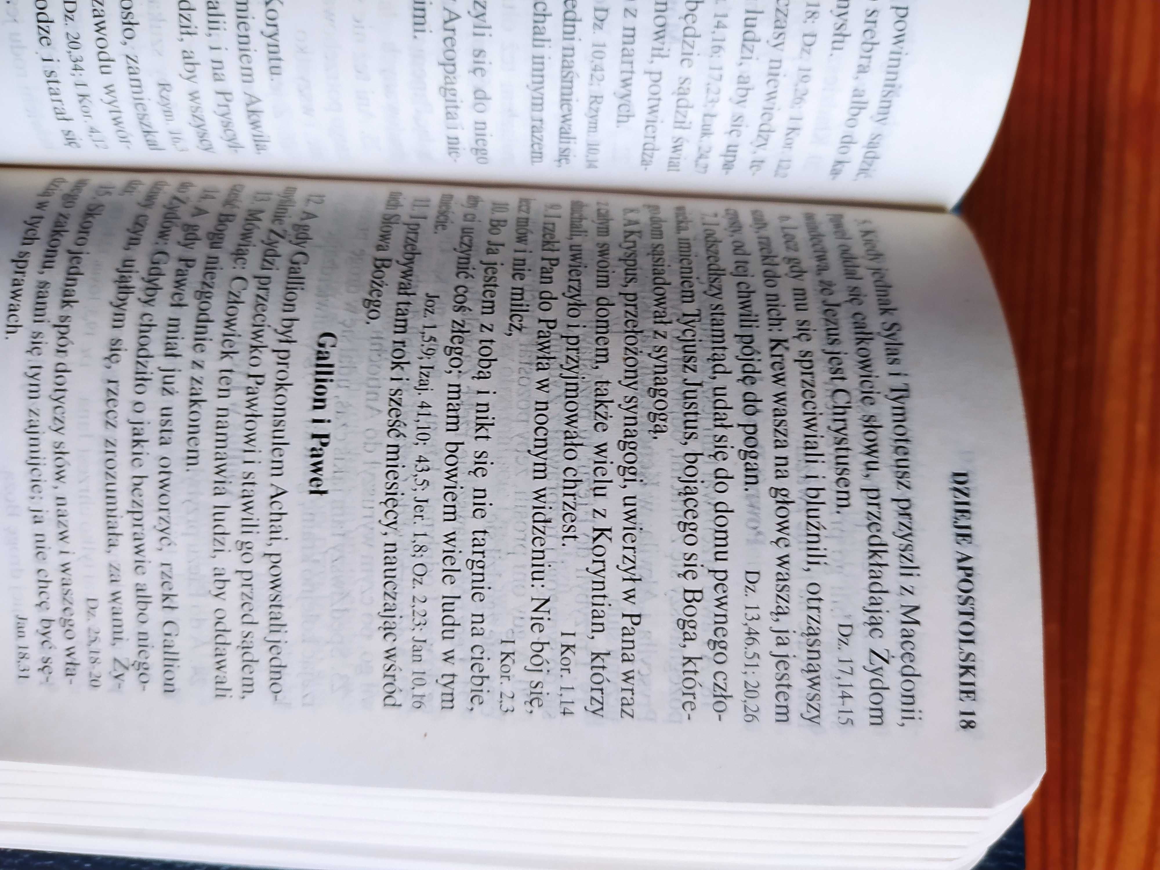 Książka Nowy Testament wydanie geodenitów