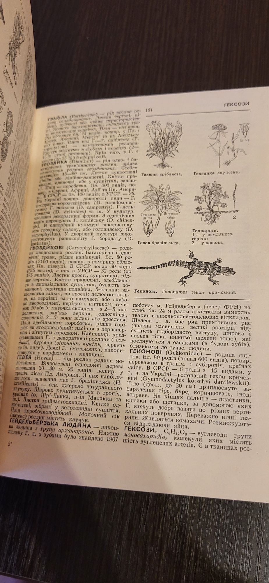 Біологічний словник К.М.Ситника