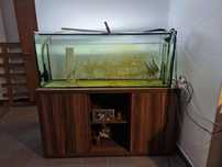 Aquario 320 litros