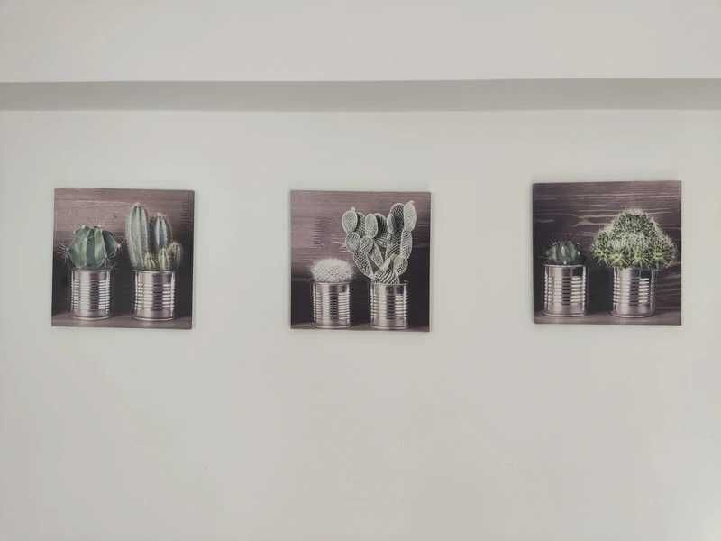 Quadros decorativos de catos