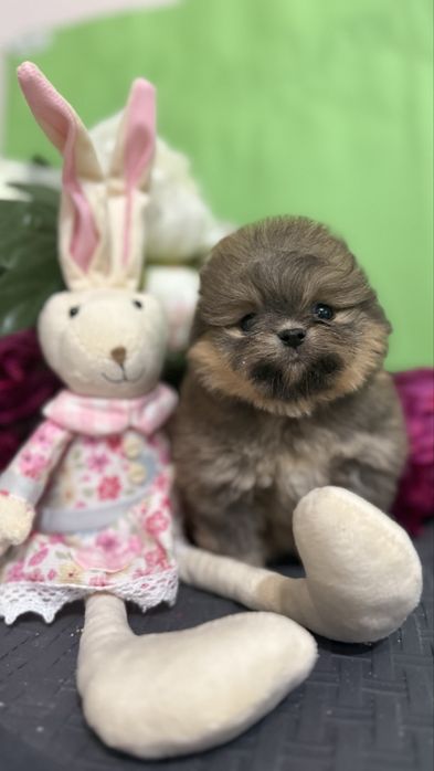 Бусінка дівчинка помаранчова