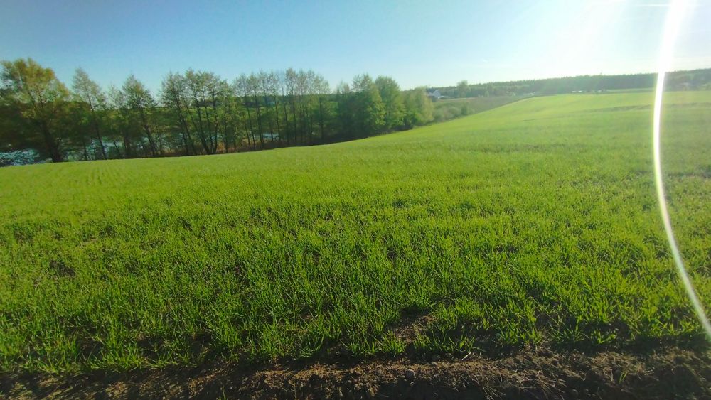 Sprzedam działki nad jeziorem