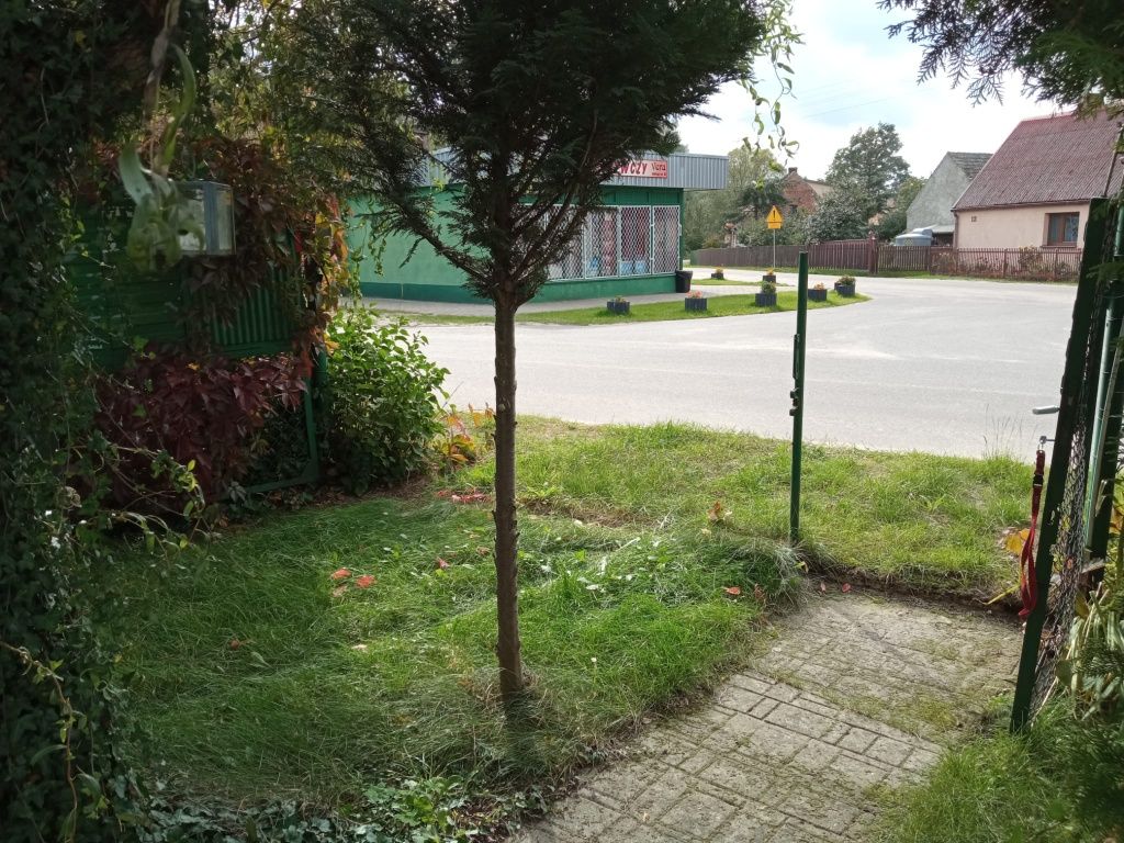 Sprzedam dom na wsi