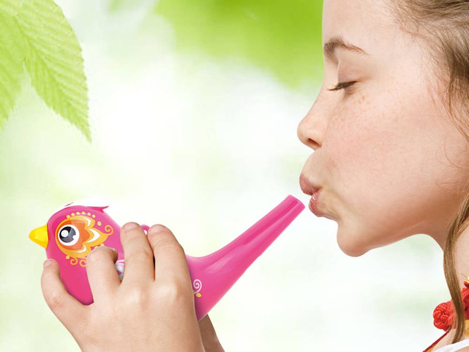 ptaszek gwizdek wodny ptak water bird birds za1483