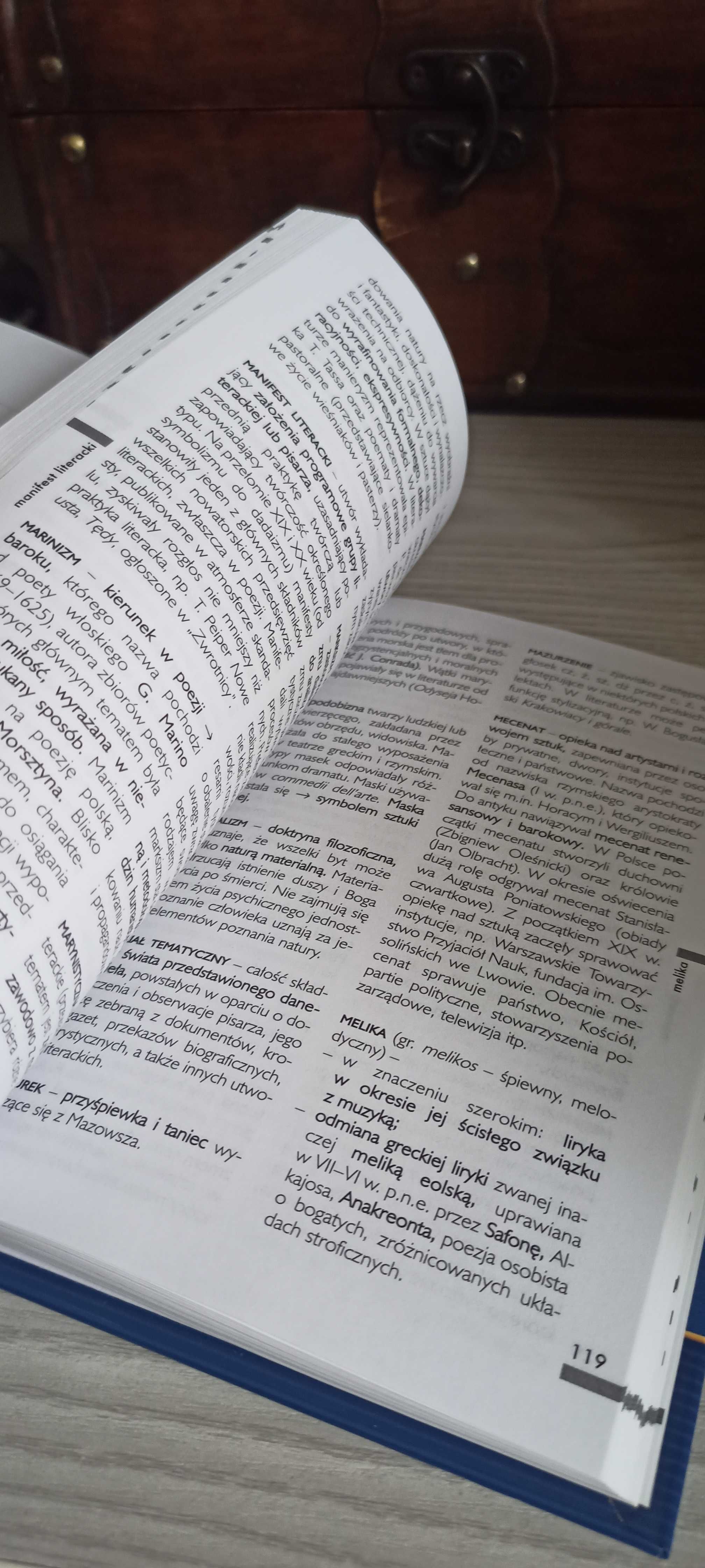Słownik terminów literackich omówienie epok język polski