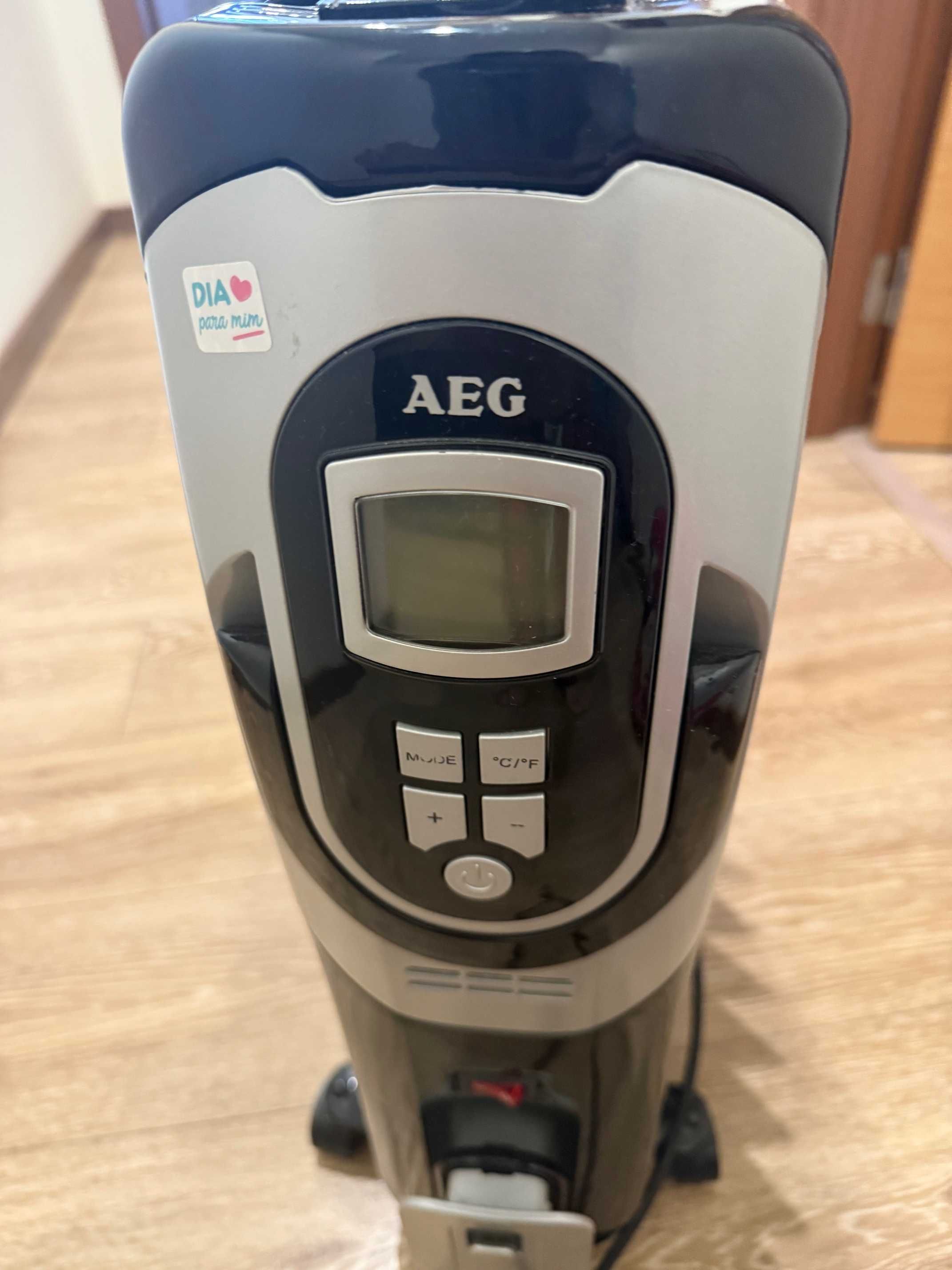 Aquecedor a Óleo em bom estado.