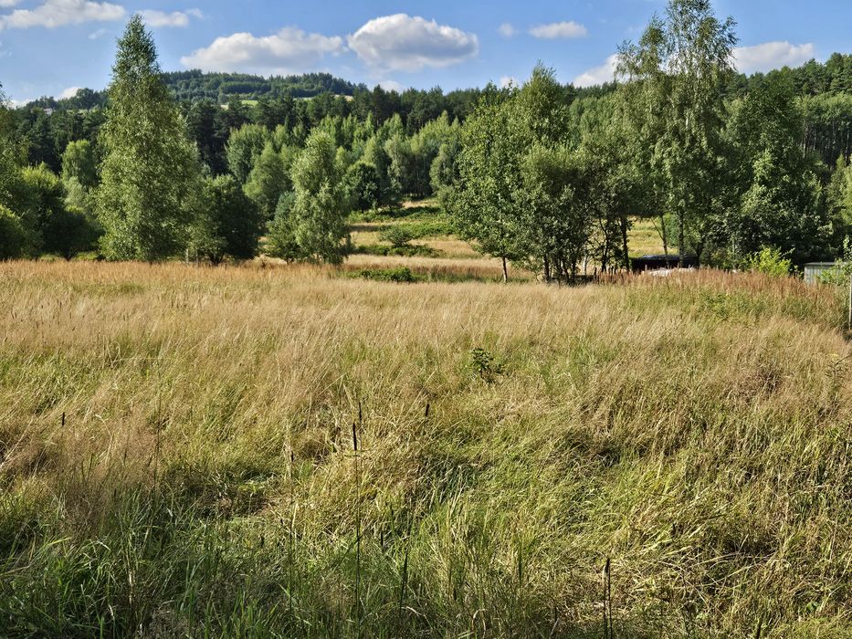 Działka budowlana w Beskidach