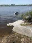 Поиск металлоискателем золота часов люков водолазные ключей и т.п.