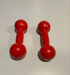 Hantle 2 x 2,5 kg