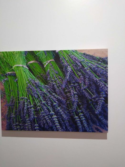 Quadros Natureza 3 peças,simples,agradaveis