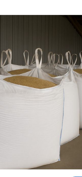 Pszenica owies ziemniaki tegoroczne żyto pszenżyto