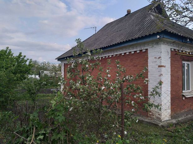 Дом в селе Покровское ( Жовтневе )