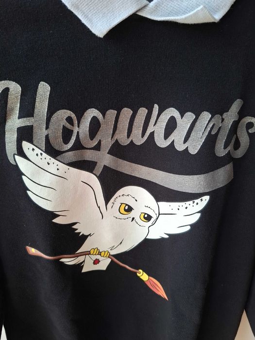 Bluza Harry Potter Hedwiga C&A