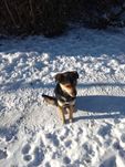 Этого зайчика  надо пристроить