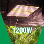 Potężna Lampa LED 1200W Do Oświetlania Roślin Uprawy Wysyłka 24H