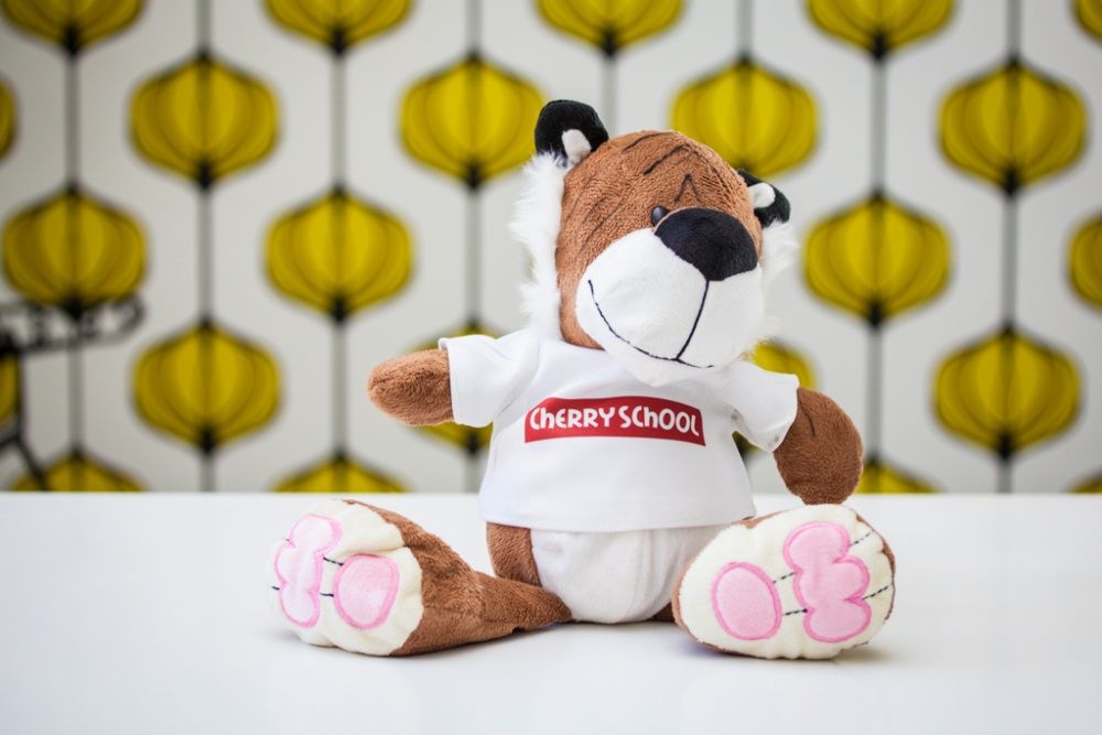 Konwersacje angielski / hiszpański Tarchomin lub online