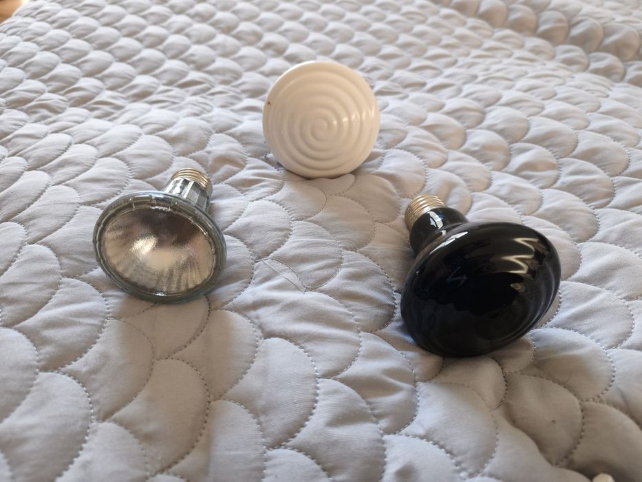 Żarówki/Promienniki dla gadów