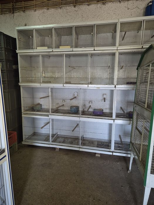 Voadeiras para passaros