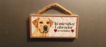 Magnes - tu mieszka labrador z rodziną