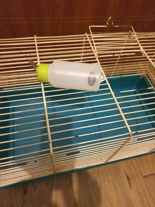 Klatka dla gryzonia 50cm