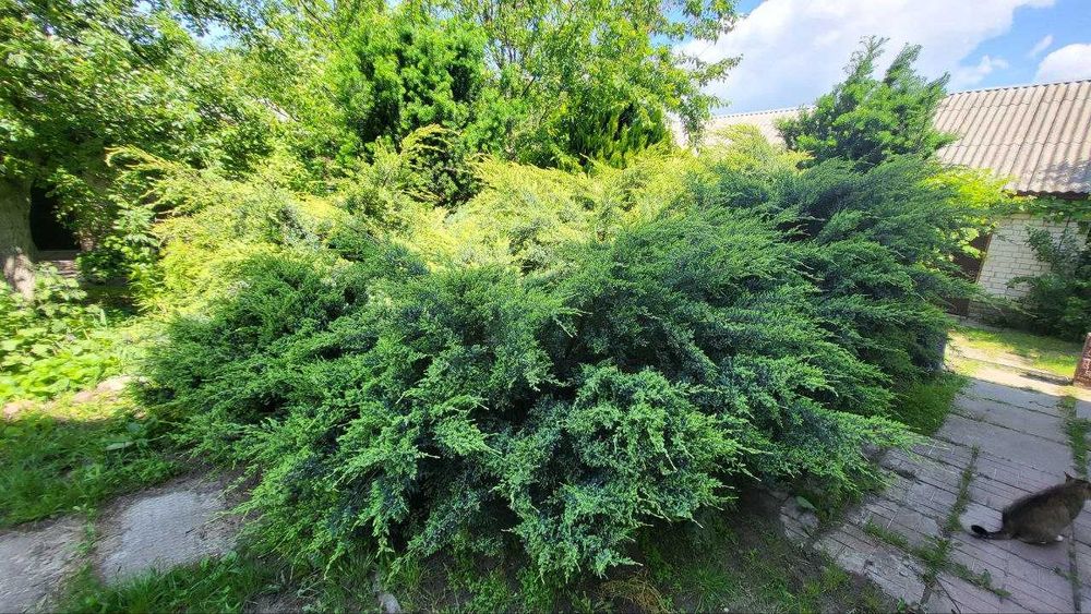 !!! Продам будинок з облаштованим бомбосховищем с.Вознесенське