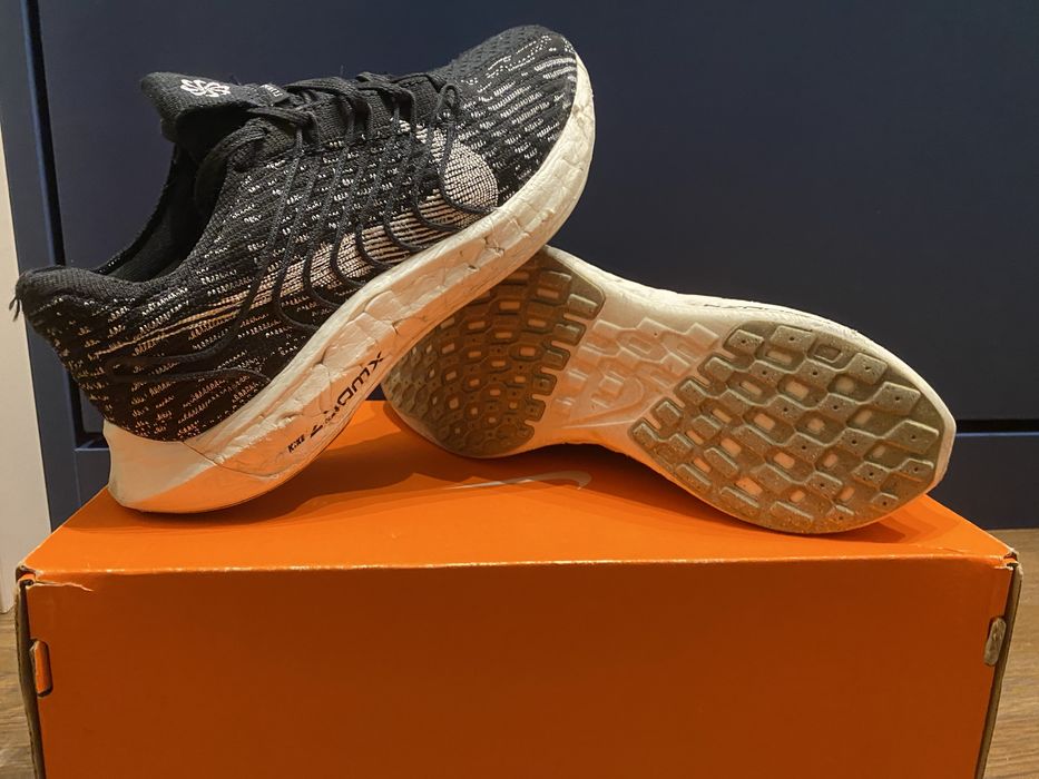 кросівки Nike Pegasus Turbo Next Nature