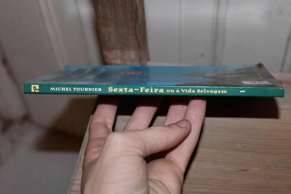 Sexta-Feira ou a Vida Selvagem de Michel Tournier