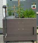 HORTA URBANA com compostagem