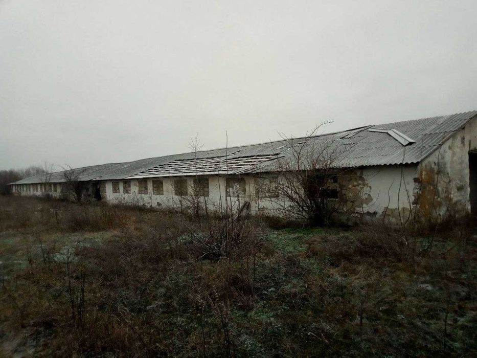 Ферма. Корівники. Будівлі. Тваринницький комплекс. Ділянка 2,8 га.