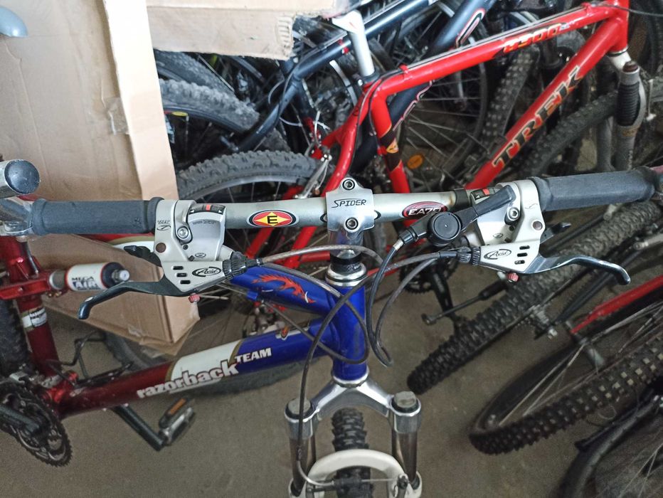 RAZORBACK K2 Noleen,xtr,avid